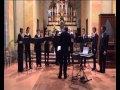 Javier Busto: AVE MARIA