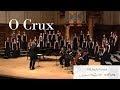 O CRUX ✝ Santiago Veros 