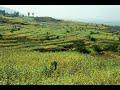 David Rain: "A Hymn to Biodiversity" (sung by Matthew Curtis)