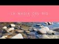 Santiago Veros's Virtual Choir: La Magia del Río