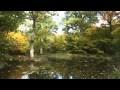 Bonny Wood Green by Stephen Hatfield Cantores Celestes Women's Choir; Kelly Galbraith Director